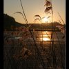 20050319_021